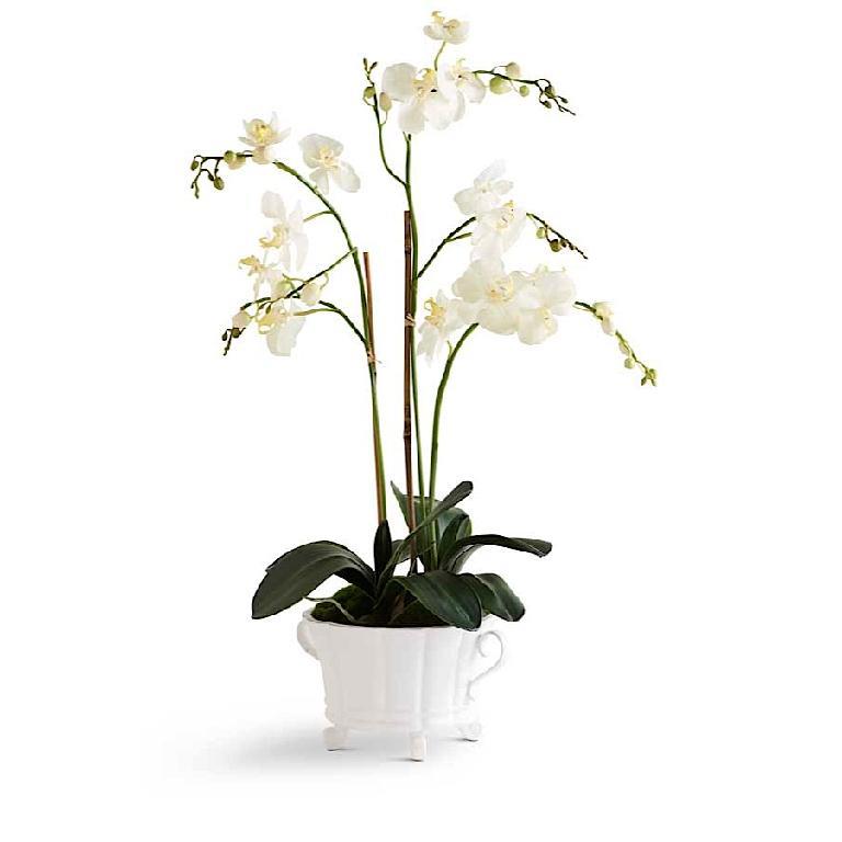 28" Orchid In 2-Handled Dish K & K Interiors, Inc.