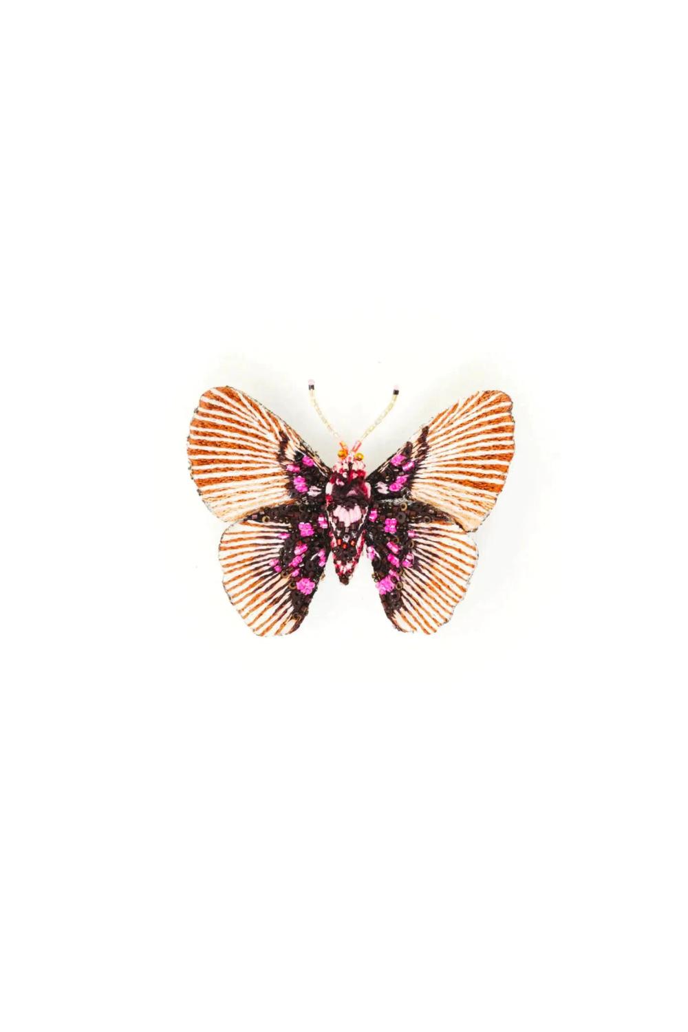 Variable False Acraea Butterfly
